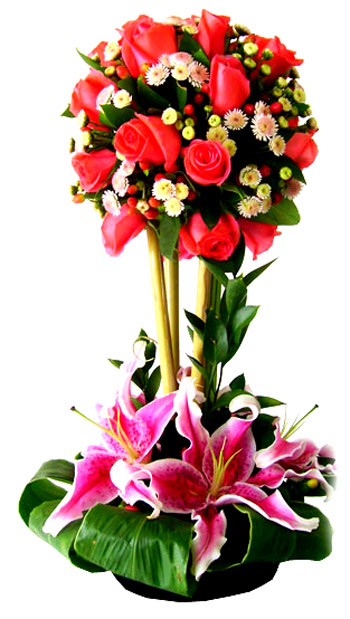Flores - Rosas - Bonsai
